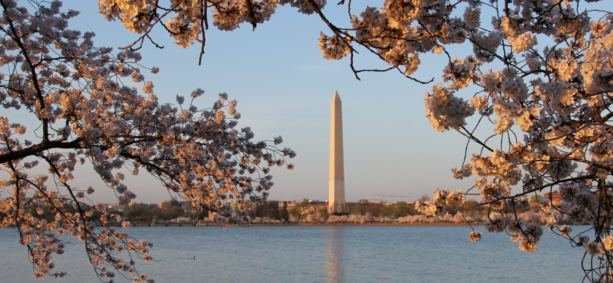 Washington-Monument-photo2